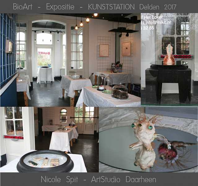 Nicole Spit BioArt expositie met Lezing/rondleiding in KunstStation Delden