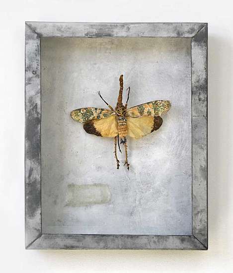 artemisia in kunstzaken Saskia E. M. van Dijk, ets-collages, handgebreide insecten, gemengde technieken