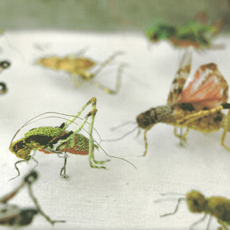 artemisia in kunstzaken Saskia E. M. van Dijk, ets-collages, handgebreide insecten, gemengde technieken (4)