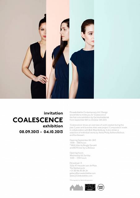 Priveekollektie Contemporary Art | Design Coalescence