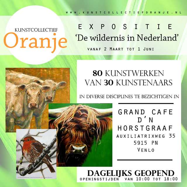 Carla van Lieshout, schilder en teken cursus brabant de wildernis in Nederland, kunstcollectief oranje (2)