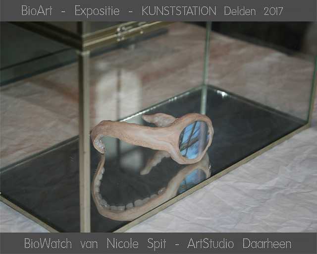 Nicole Spit BioArt expositie met Lezing/rondleiding in KunstStation Delden (2)
