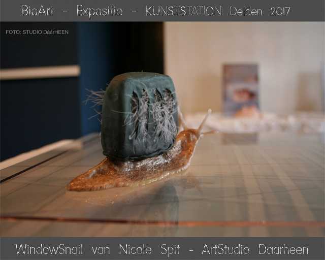 Nicole Spit BioArt expositie met Lezing/rondleiding in KunstStation Delden (3)