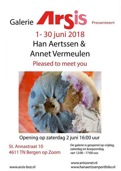 Annet Vermeulen Pleased to meet you