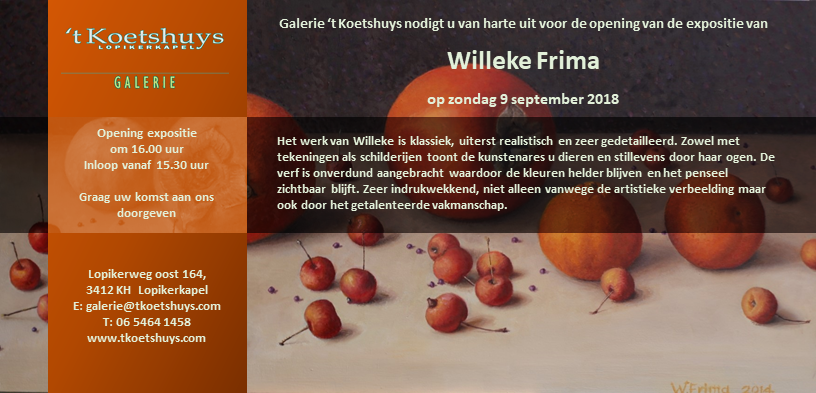 Willeke Frima Willeke Frima schilderijen en tekeningen