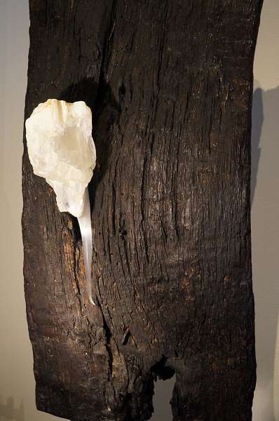 Moglas Galerie Het natuurlijk hout en de eigenzinnige stenen van Ellen Bruining (3)