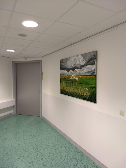 Bert Weening Expositie Alrijne Ziekenhuis Leiderdorp afd. Radiologie