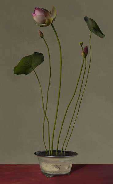 Galerie Wilms Flower Pieces - Bas Meeuws (4)