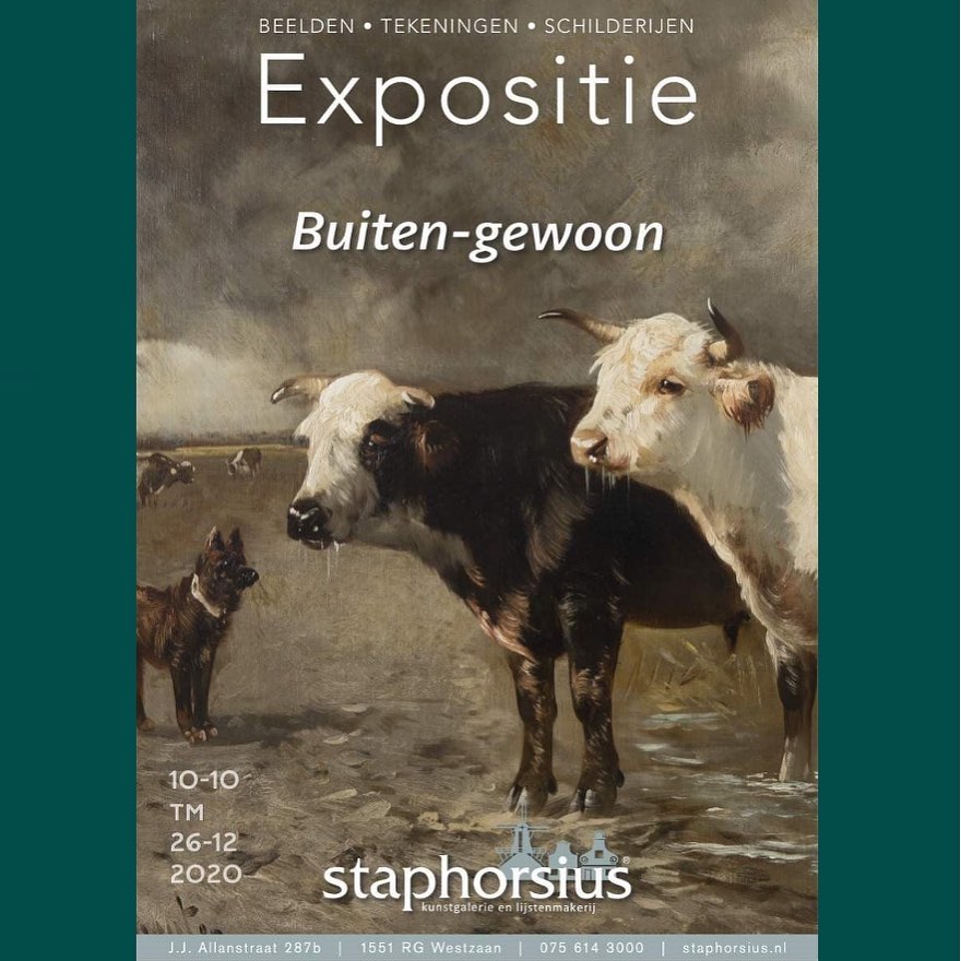 Jacob Bos Buiten-gewoon Staphorsius