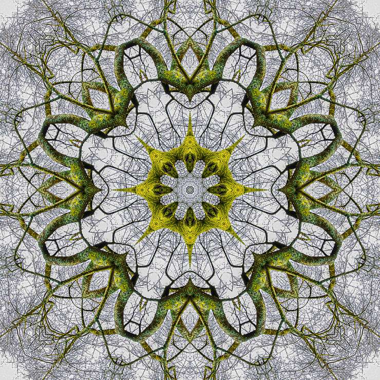 STADSKANT Lichtschrijverijen en kaleidoscopische fractals in fotografie (2)