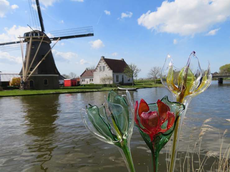 Marjolein van Noortwijk Glaskunst - Atelier G&G handgemaakt mondgeblazen bloemen en glasbeesten