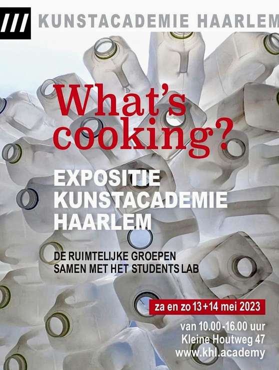Lily Elisabeth van Rosmalen What's cooking?